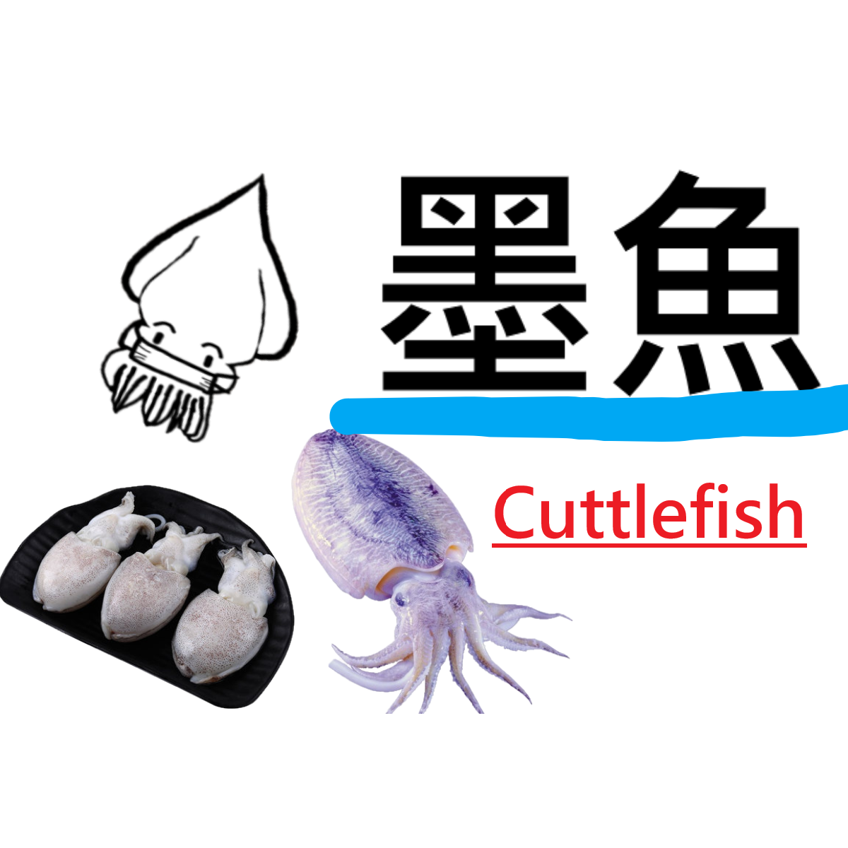 粒粒墨魚滑