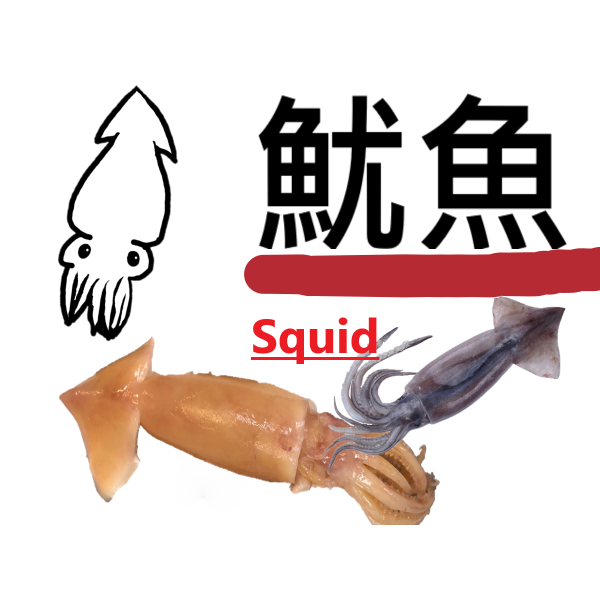 粒粒墨魚滑