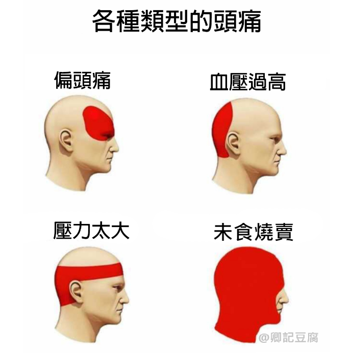 金龍燒賣 (內含豬肉)