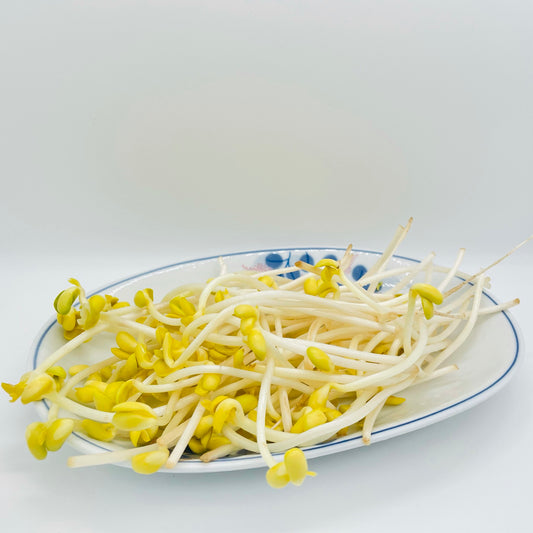 大豆芽