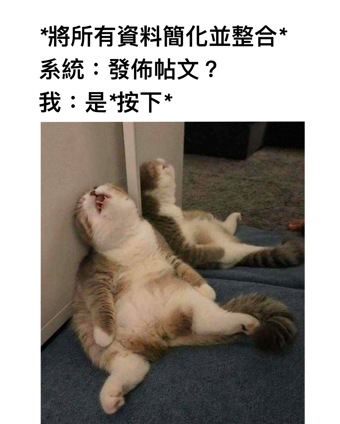 CanBest 100%冷壓特級初榨牛油果油