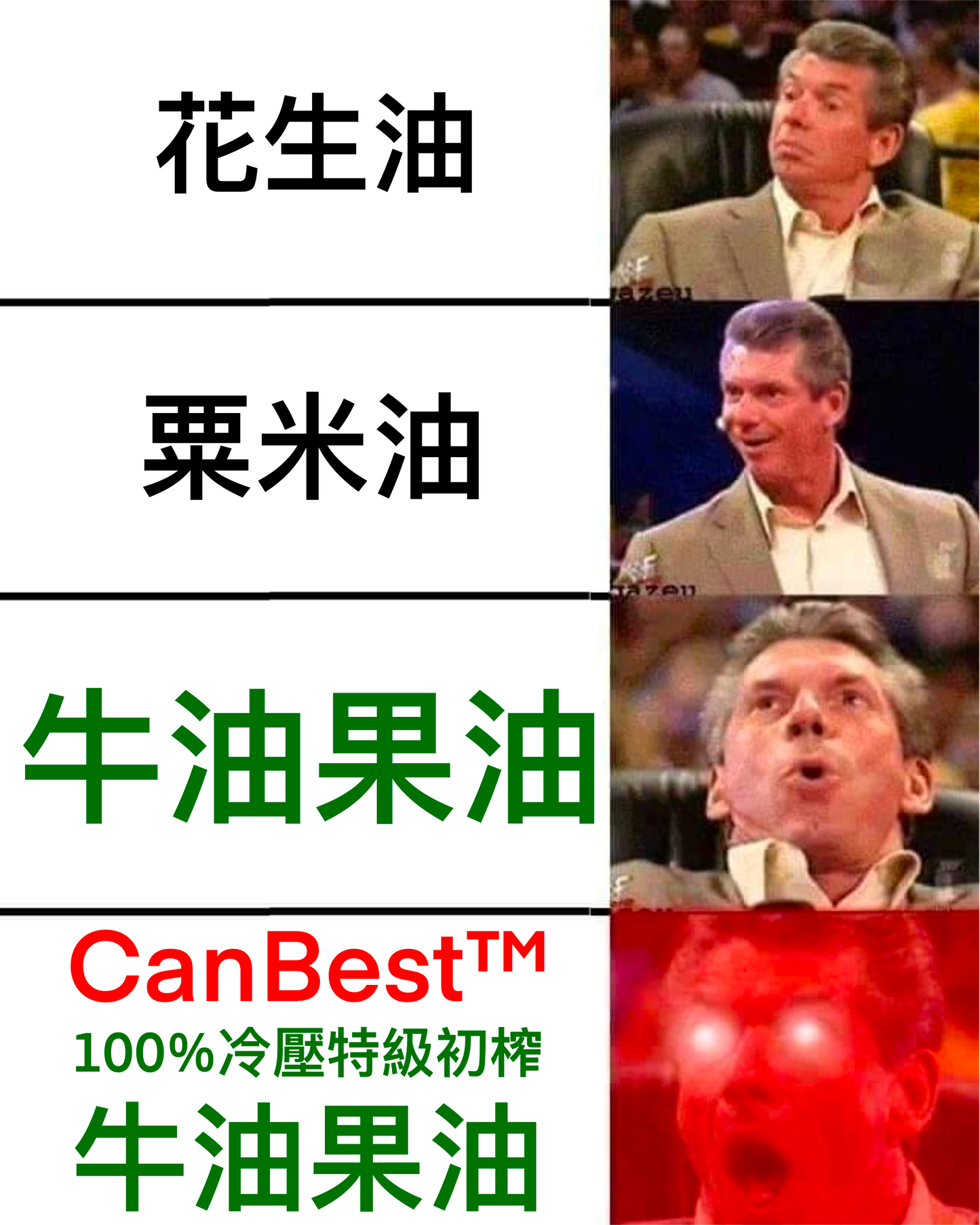 CanBest 100%冷壓特級初榨牛油果油